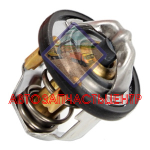 Термостат 8943973100